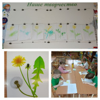 Всемирный день одуванчика Всемирный день одуванчика.